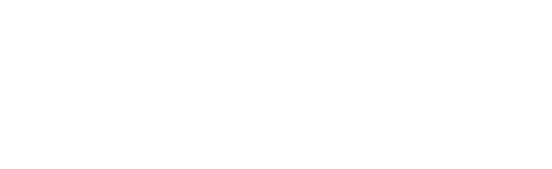 logo paladin